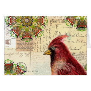 Collage Cardinal et Éphémère