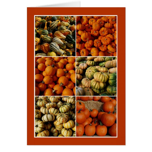 Collage citrouille (Devant)