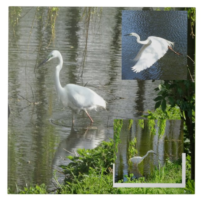 Collage de carreau de céramique d'aigrette (Devant)