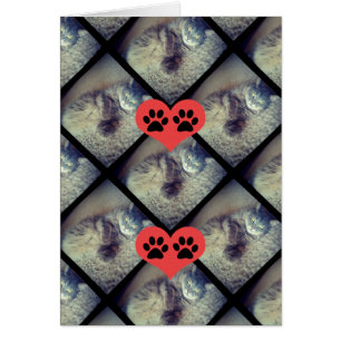 Collage de chats avec PawPrints par Shirley Taylor