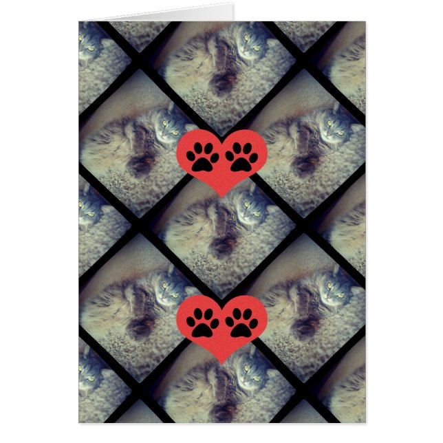 Collage de chats avec PawPrints par Shirley Taylor (Devant)