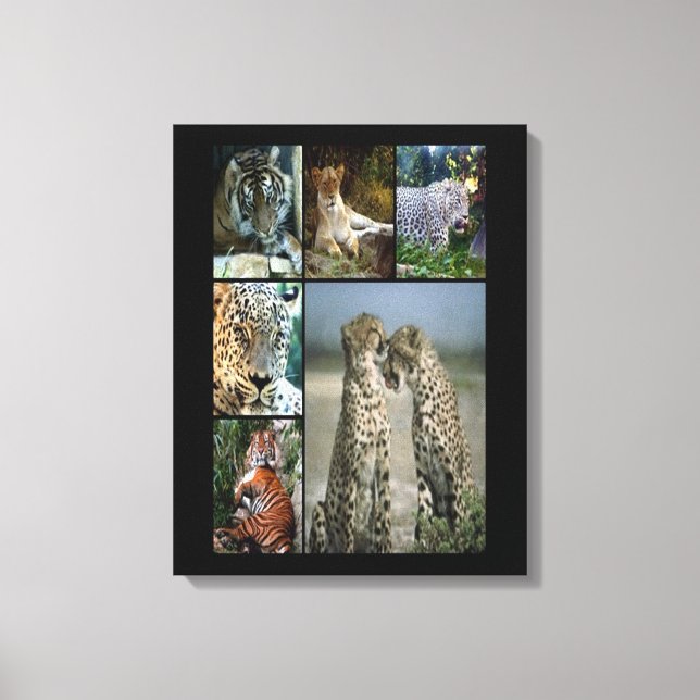 Collage de chats sauvages Toile enveloppée (Recto)