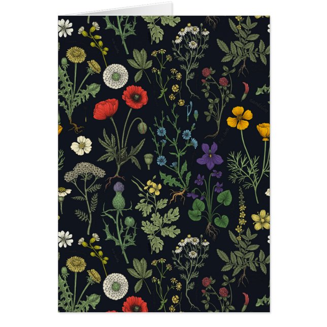 Collage de fleurs sauvages (Devant)