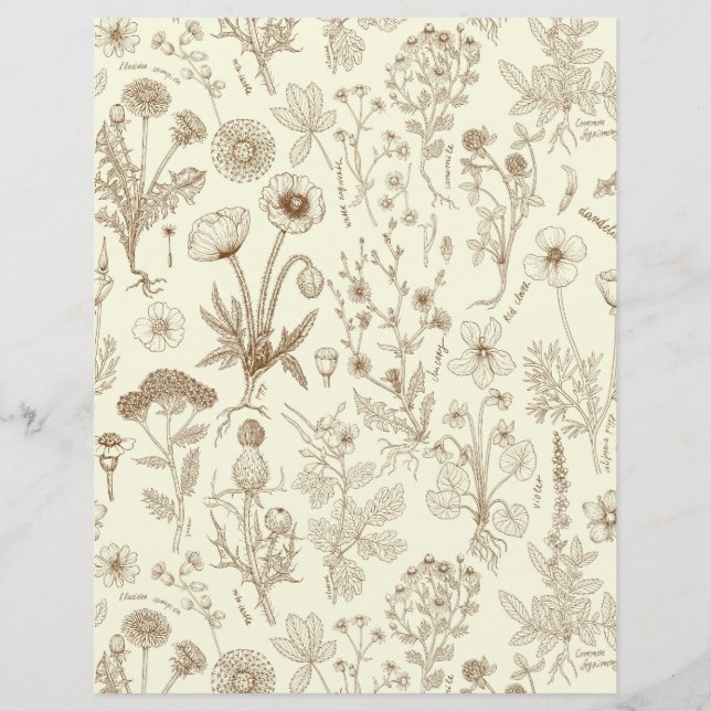 Collage de fleurs sauvages / beige et sépia (Devant)
