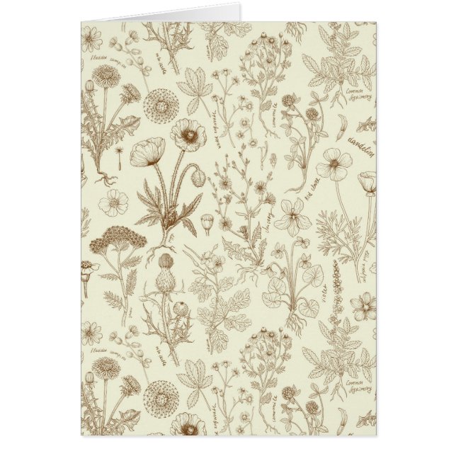 Collage de fleurs sauvages / beige et sépia (Devant)