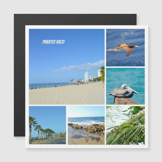 Collage de la nature de San Juan, aimant Porto Ric (Devant / Derrière)