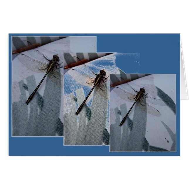 Collage de libellules (Devant horizontal)