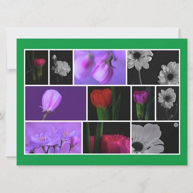 Collage de photos élégantes et mignonnes sur Kelly (Devant)