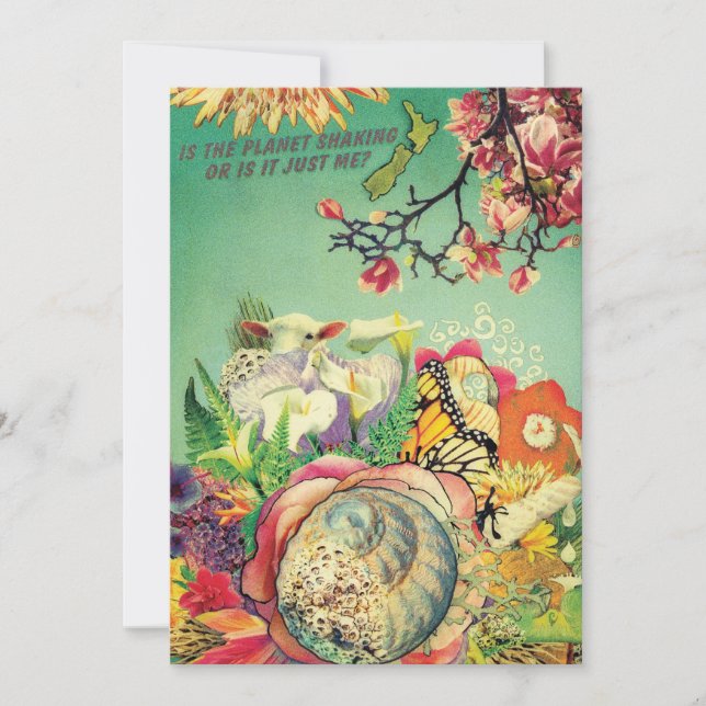 collage néo-zélandais (Devant)