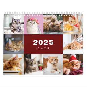Collage photo de chats Calendrier moderne 2025