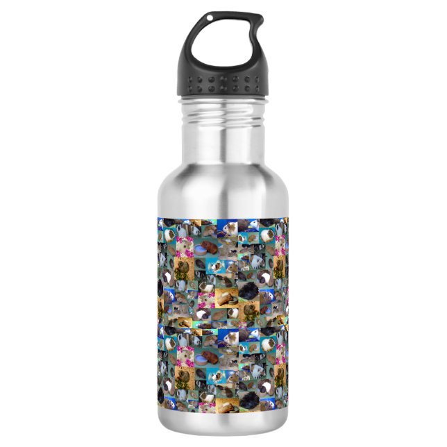 Collage photo de cochon de Guinée, Bouteille d'eau (Devant)