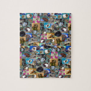 Collage photo de cochon de Guinée, Puzzle de Jigsa