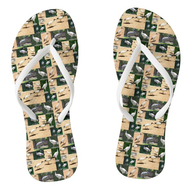 Collage photo de poulets, tongs (Semelle)