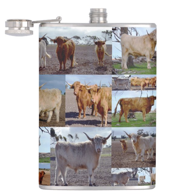 Collage Photo De Vaches Highland, Flacon De Hanche (Ouvert)