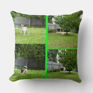 Collage Photo Fox Terrier, Gros Coussin À Throw.