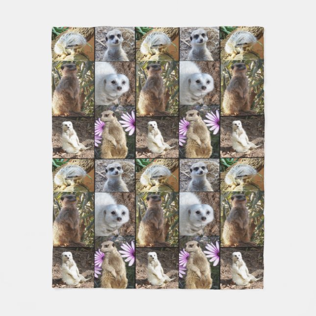 Collage Photo Meerkat, Couverture En Ceinture Moye (Devant)
