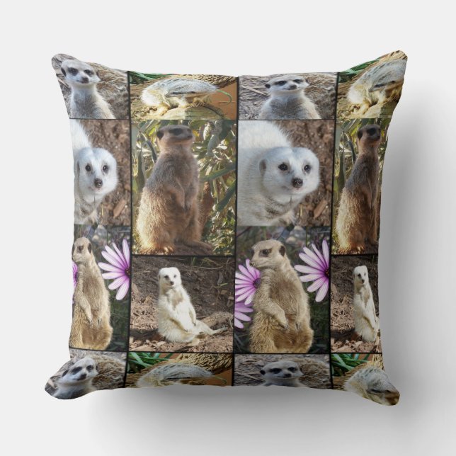 Collage Photo Meerkat, Gros Coussin À Throw. (Recto)
