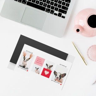 Collage photos de chiens   Mon chien est ma Saint-