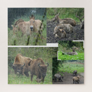Collage Puzzle : Parc naturel Lelystad ANIMALS