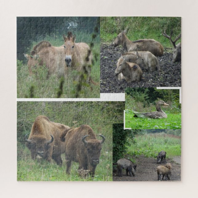 Collage Puzzle : Parc naturel Lelystad ANIMALS (Vertical)