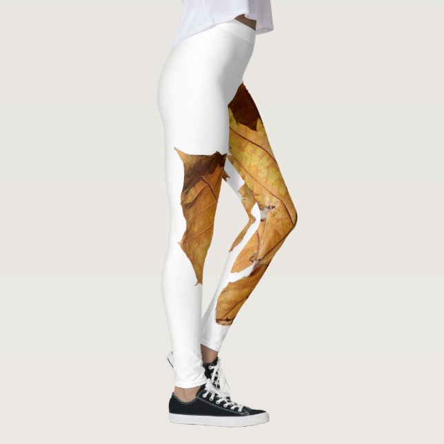collants de mode classique (Droite)