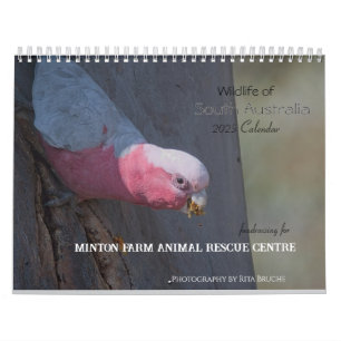 Collecte de fonds 2025 Calendrier australien de la