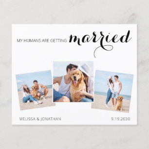 Collecte de photos du Mariage du budget Enregistre