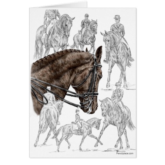 Collected Dressage Horses FEI (Devant)