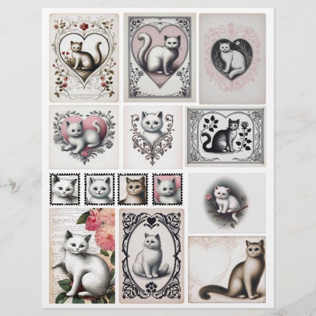 Collection adorable de chat Ephemera pour Papercra (Devant)