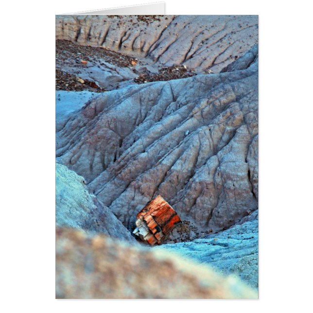 Collection "Bois cassé dans le canyon bleu" (Devant)