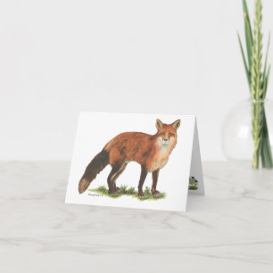 Collection Carte de Note Fox