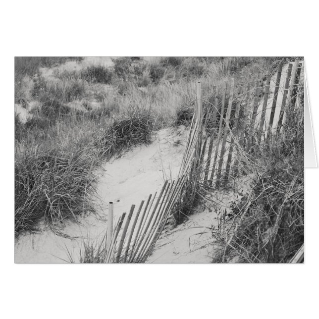 Collection "clôture et dunes" (Devant horizontal)