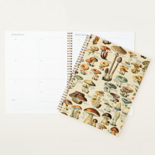 Collection de champignons