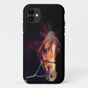 collection de chevaux. coque rouge arabe