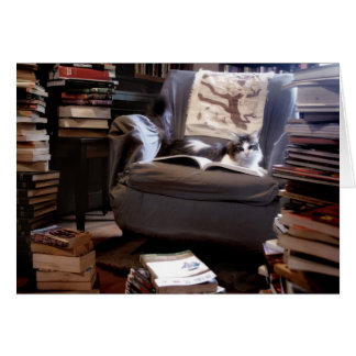 Collection de livres de Miss Kitty