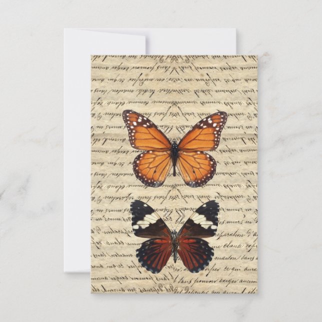 Collection de papillons vintages (Devant)