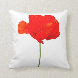 COLLECTION DE POIVRE 06 Coussin