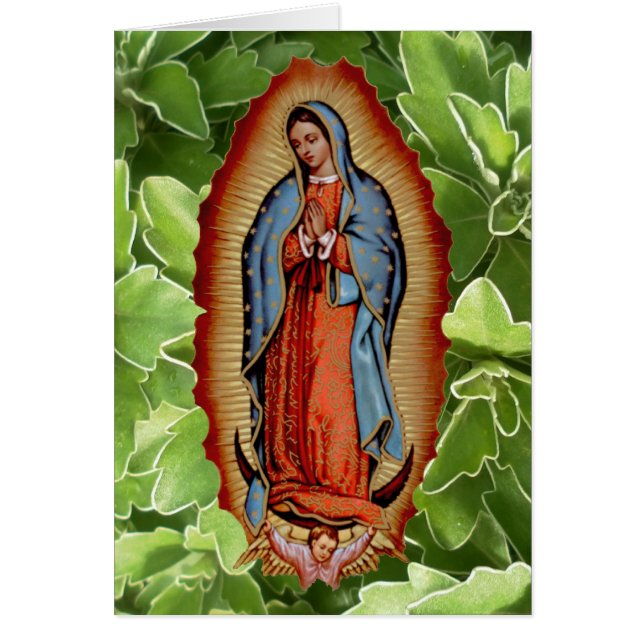 COLLECTION DE VIRGEN DE GUADALUPE (Devant)