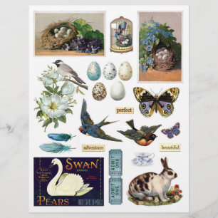 Collection d'Ephémères Vintages : Oiseaux et lapin