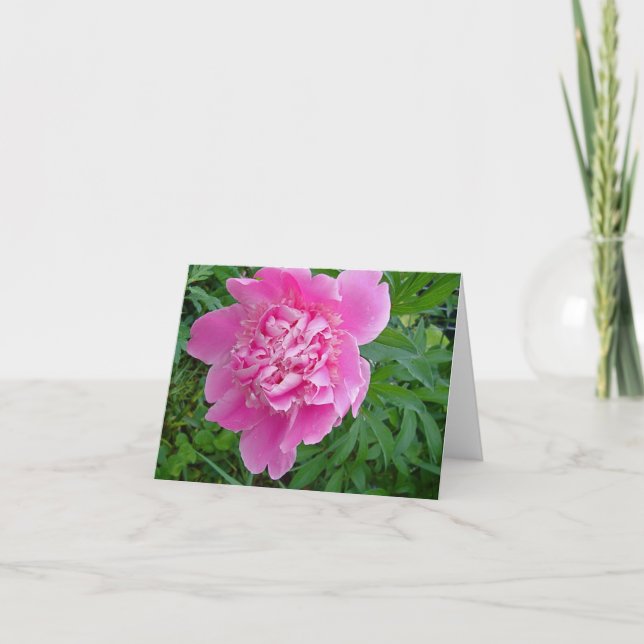 collection florale de carte pour notes de peonie (Devant)