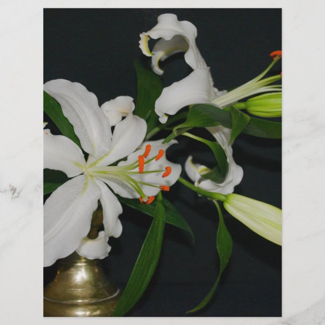 Collection Irlandaise de laiton et de fleurs (Devant)