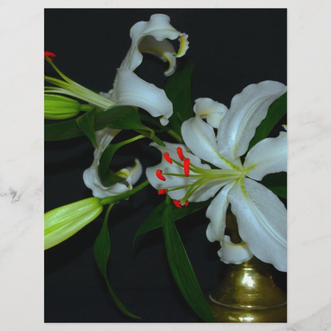 Collection Irlandaise de laiton et de fleurs (Devant)