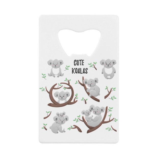 collection koala ours Cool Koala, Support Austral (Devant)