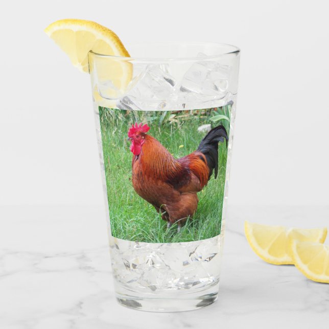 Collectionneurs de verres à boire Coq Rouge  (Devant glace)