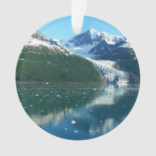 College Fjord I Photographie de l'Alaska Belle