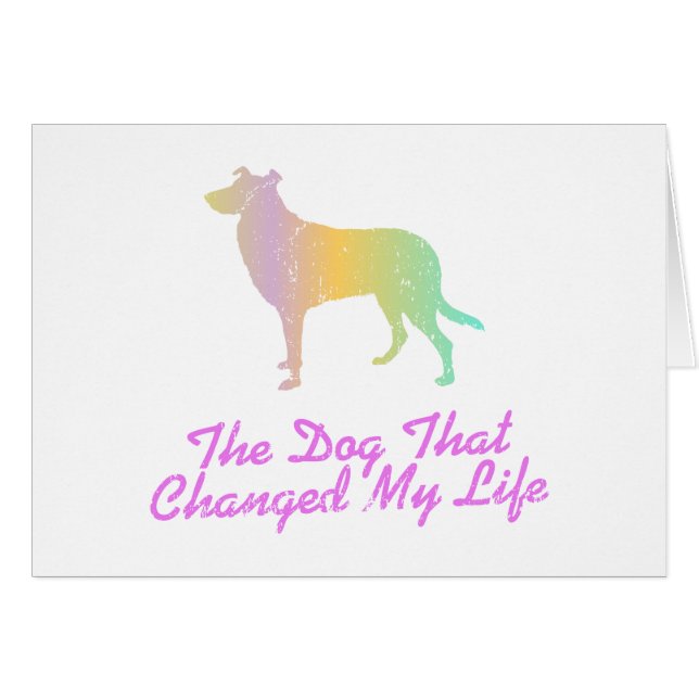 Colley lisse (Devant horizontal)