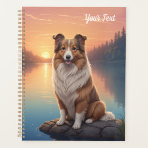 Collie au bord du lac