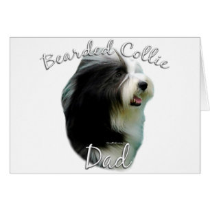 Collie barrée papa 2
