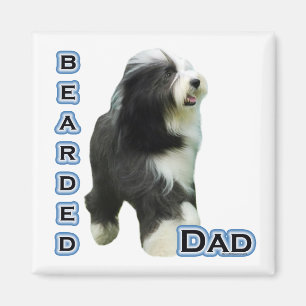 Collie barrée Papa 4 - Aimant