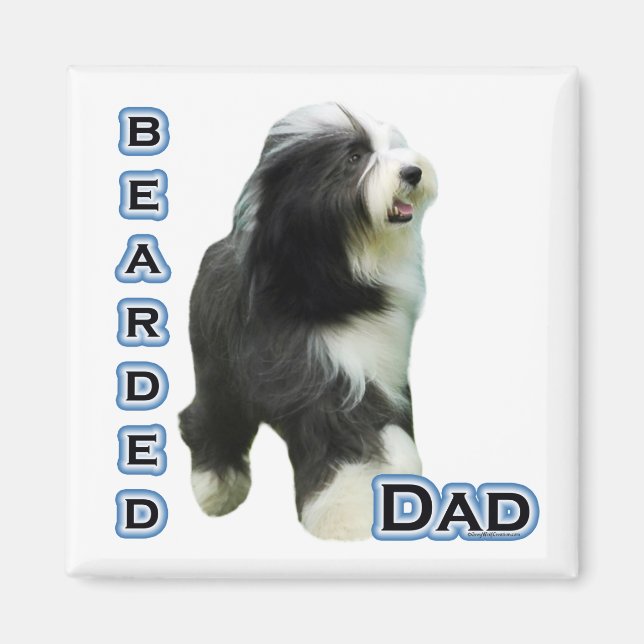 Collie barrée Papa 4 - Aimant (Devant)